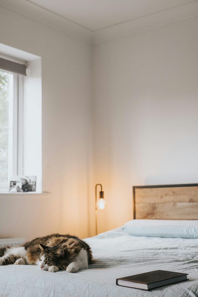A quiet dehumidifier positioned in a bedroom